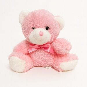 Pink Plush Teddy Bear Toy